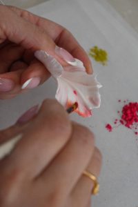 Luxury wedding cake featuring handmade parrot tulip sugar flowers, showcasing sophisticated cake artistry and elegant colouring techniques.
